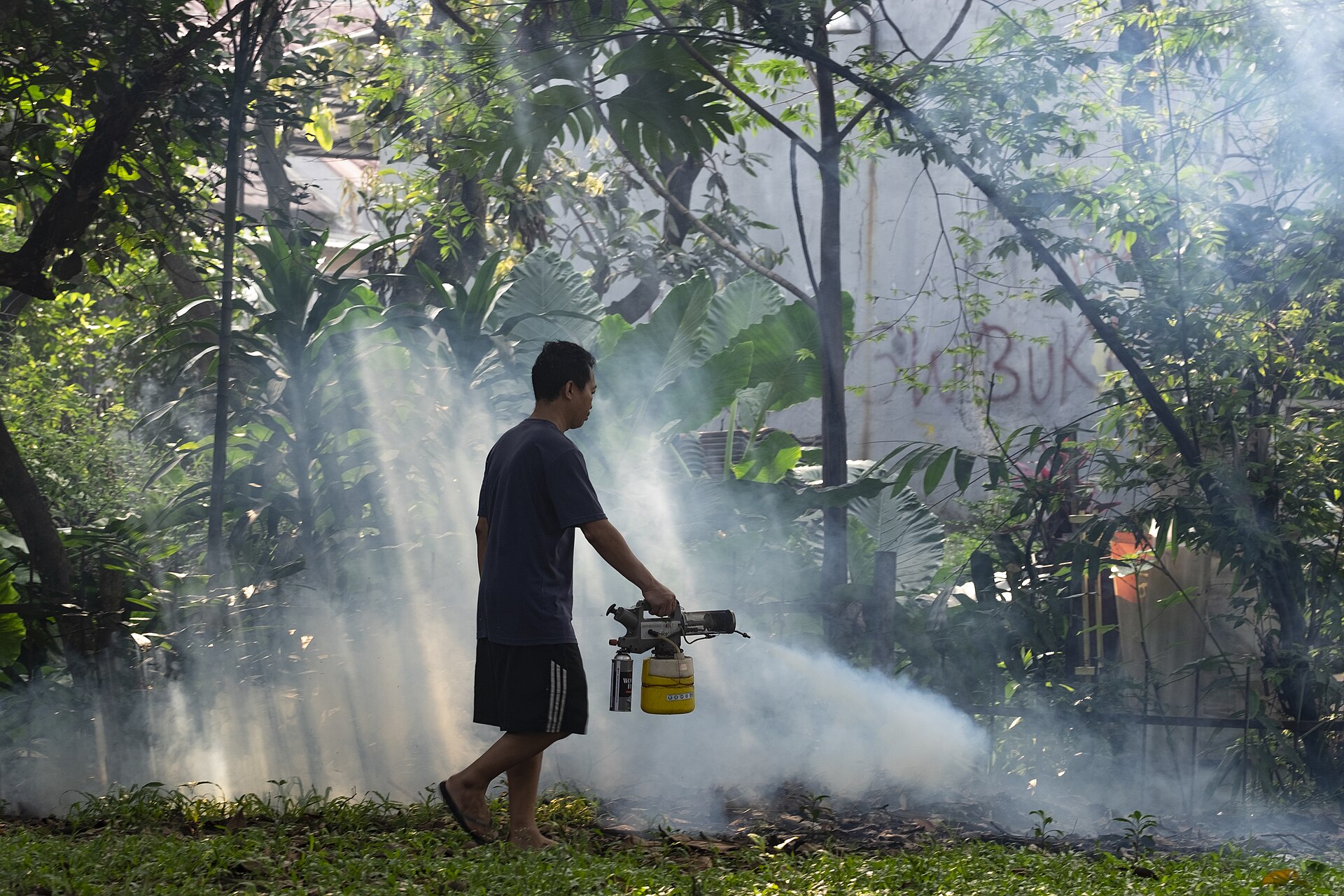 Outdoor mosquito fogging by pest control team