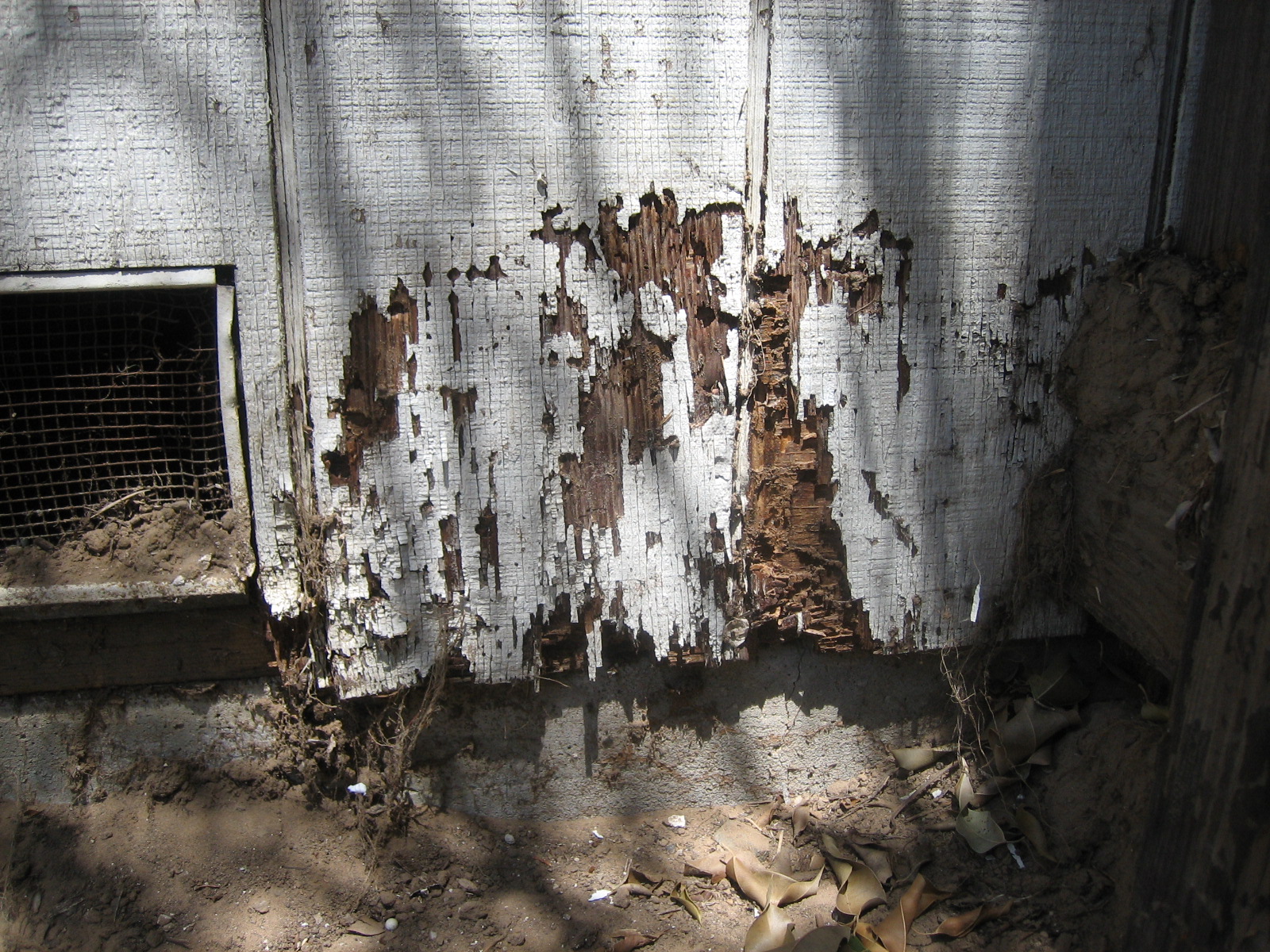 Termite pest control for wooden structures